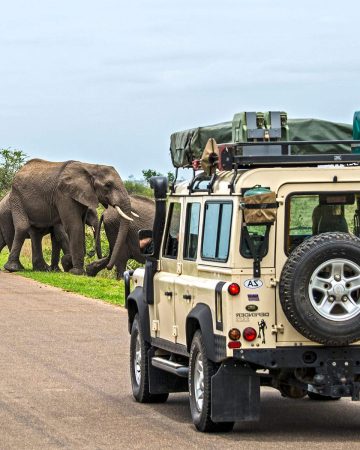National kruger park 